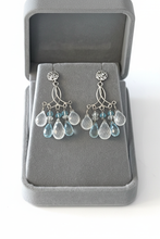 Load image into Gallery viewer, Chandelier Earrings - Box