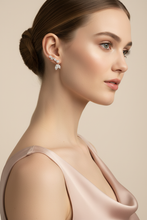 Load image into Gallery viewer, Diamond Ear Crawler Model Campaign