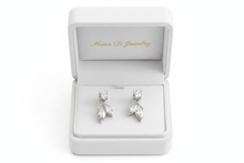 Load image into Gallery viewer, Diamond drop earrings in Mina D Jewelry box