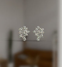 Load image into Gallery viewer, mina d dia ps cluster