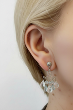 Load image into Gallery viewer, Chandelier Earrings - Flawless Skin
