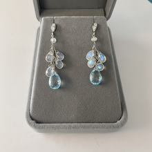 Load image into Gallery viewer, Earrings - Gray Box
